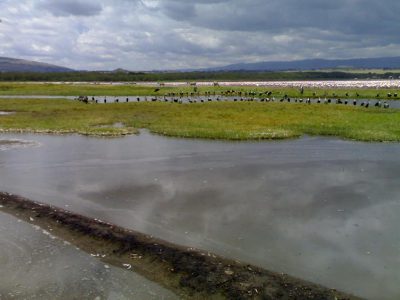 2007-10-21_14 Lake Nakuru