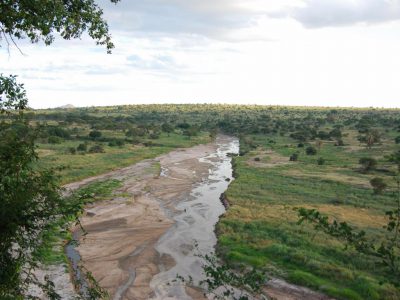 20100519_145656_Tarangire