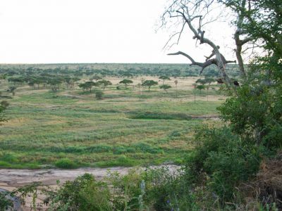 20100519_145746_Tarangire