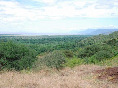 20100520_083152_Lake Manyara