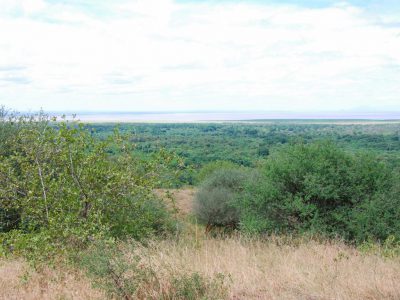 20100520_083202_Lake Manyara