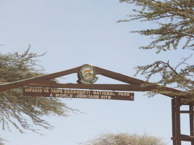 20100521_091610_Serengeti