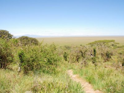 20100521_094326_Serengeti