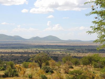 20100521_120042_Serengeti