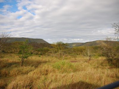 20100522_050810_Serengeti