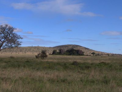 20100523_060906_Serengeti