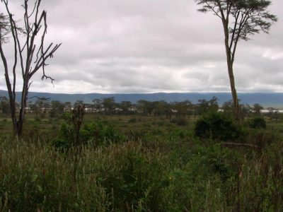 20100524_071004_Ngorongoro