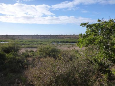 2012-07-18_080443_Kruger