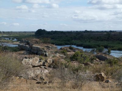 2012-07-18_100457_Kruger