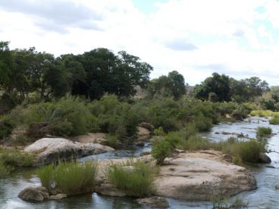 2012-07-18_111231_Kruger