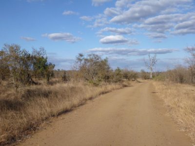 2012-07-18_155016_Kruger