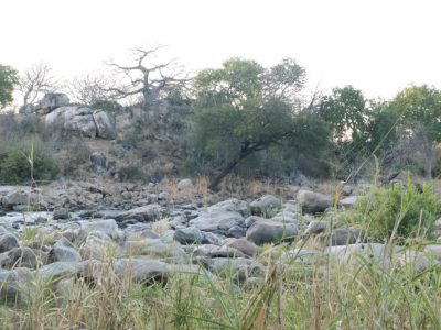 2013-06-12_051756 Ruaha