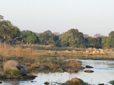 2013-06-12_051836 Ruaha