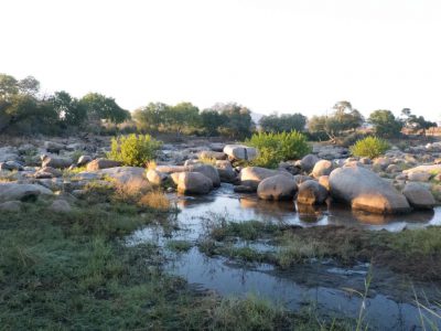 2013-06-12_052000 Ruaha