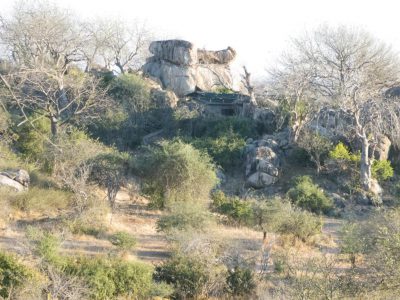 2013-06-12_053916 Ruaha