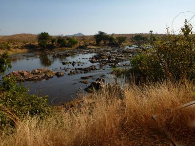 2013-06-13_092426 Ruaha