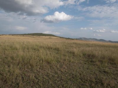 2014-06-14_160742 Masai Mara