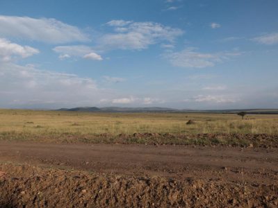 2014-06-14_164004 Masai Mara