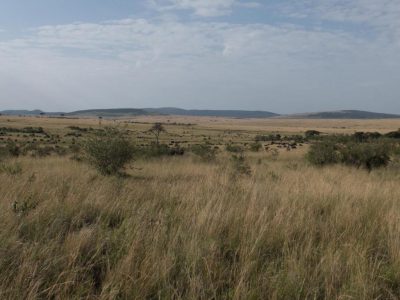 2014-06-15_074116 Masai Mara