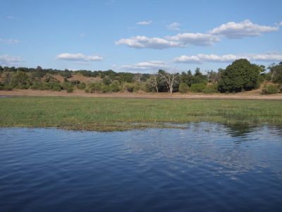 Chobe-Nationalpark_08