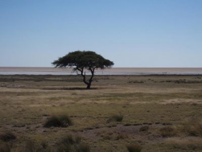 Etosha-Nationalpark_04