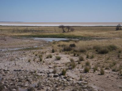 Etosha-Nationalpark_06