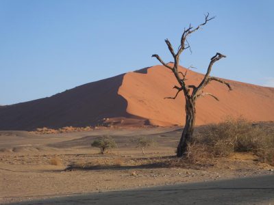 Namib-Naukluft_Park_04