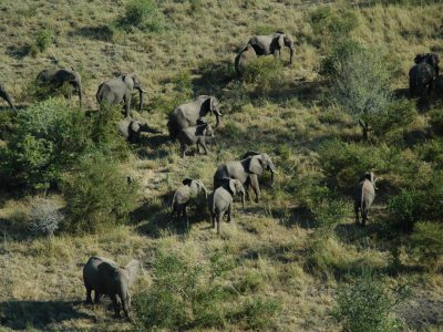 Victoria_Falls_National_Park_03