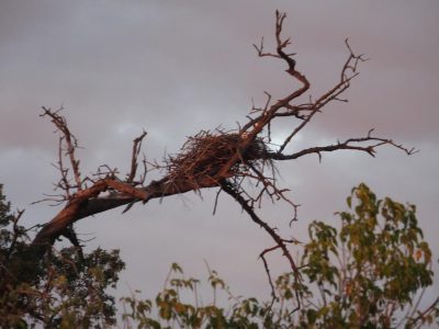 Victoria_Falls_National_Park_09