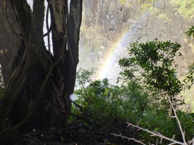 Victoria_Falls_National_Park_33